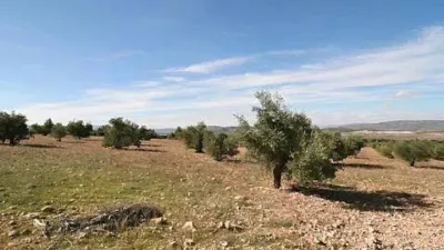 Terreno en venta en Biar - Vista 4