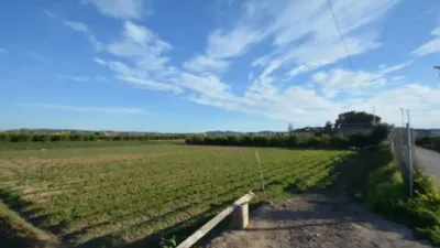 Terreno en venta en Orihuela - Vista 3