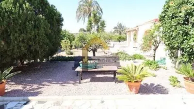 Casa – Elx / Elche, Regs del Porvenir, la Marina - Más