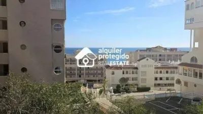 Pis – Elx - Elche - Vista 5