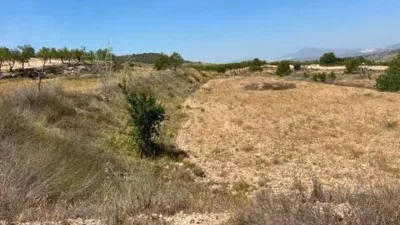 Terreno en venta en Orihuela Pedanías - Vista 6