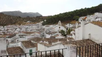 House in El Gastor photo 4