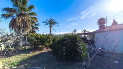 Chalet in Elx - Elche photo 27