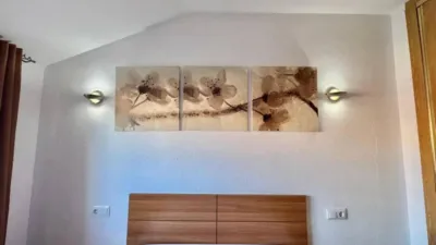 Duplex Penthouse in Murcia Capital photo 20