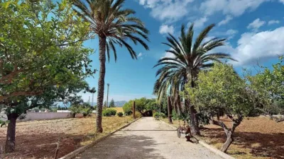 Rustic house in Son Sardina photo 3