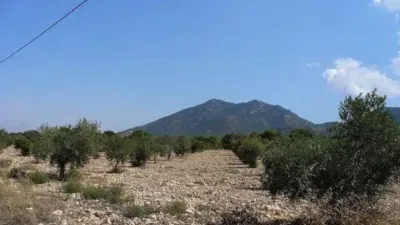 Terreno en venta en Biar - Más