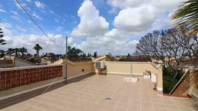 Chalet in Formentera del Segura photo 4