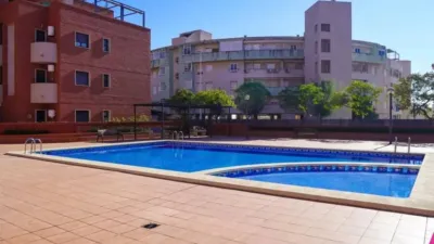 Apartment in Varadero-Santa Pola East photo 49