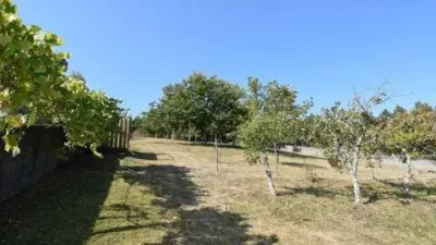 Chalet in A Graña (Pontedeume) photo 28