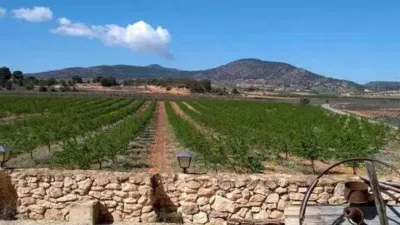 Rustic house in Yecla photo 39