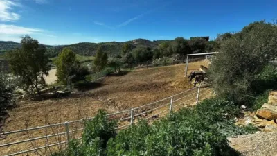 Rustic property in Almogía photo 42