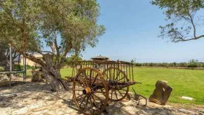 Chalet in Santa Margalida photo 8