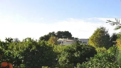 Chalet in Mutxamel photo 16
