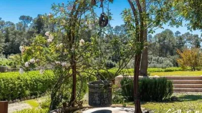 Rustic house in Sineu photo 31