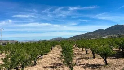Terreno en venta en Hondón de los Frailes - Vista 2