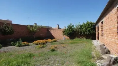 Miniatura 8