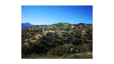 Rustic house in El Gastor photo 15