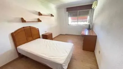 Apartment in San Antón photo 21