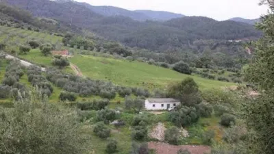 Chalet in Algodonales photo 2
