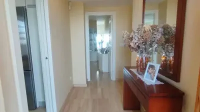 Apartment in Platja Muchavista photo 28