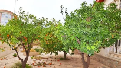 Casa – Elx - Elche - Vista 2