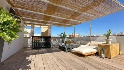 Pis – Elx - Elche - Vista 4