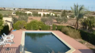 Chalet in Crevillent photo 9