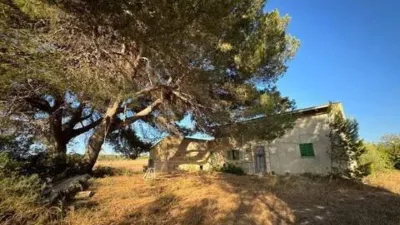 Rustic house in Muro photo 13