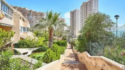 Apartment in Carrer Hisenda de l'Administrador photo 42