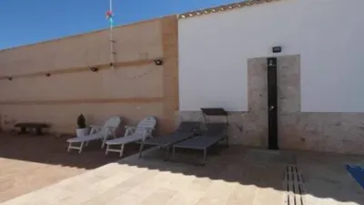 Miniatura 12