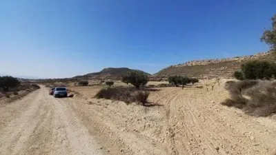 Terreno en venta en El Pinós - Pinoso - Vista 5