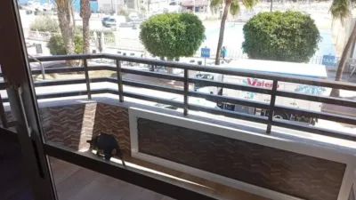 Apartment in Garrucha photo 19