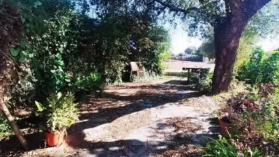 Casa rústica en Huévar del Aljarafe photo 10