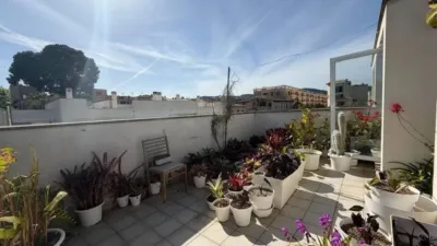 Chalet in Palma de Mallorca photo 13