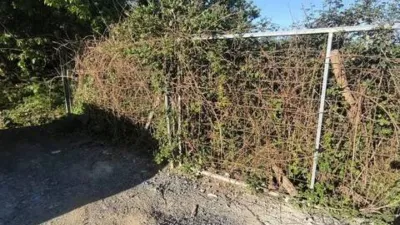 Terreno en venta en A Ramallosa - Vista 5