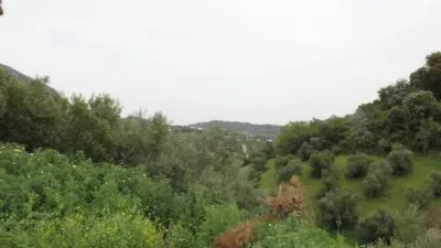 Chalet in Algodonales photo 24