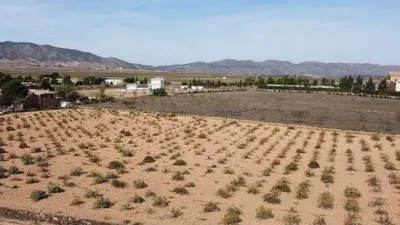 Terreno en venta en El Pinós - Pinoso - Vista 5