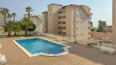 Pis – Elx / Elche, Urbanització Els Arenals del Sol - Vista 2