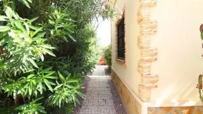 Chalet in Formentera del Segura photo 36