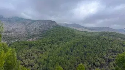 Terreno en venta en Callosa D'en Sarrià - Más