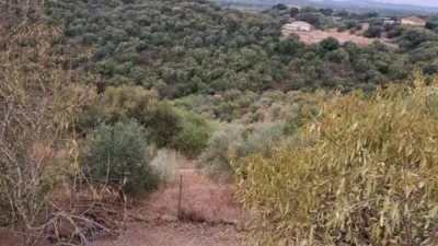 Chalet in Cortijo de La Torre photo 20