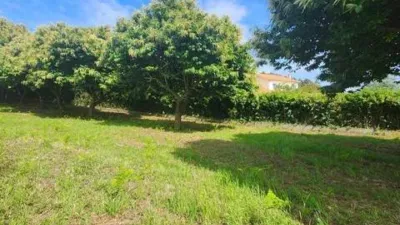 Terreno en venta en Lugar de Ombre - Vista 5