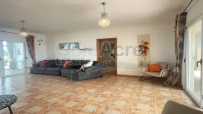 Chalet in La Oliva photo 15