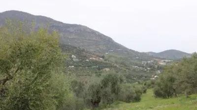 Chalet in Algodonales photo 23