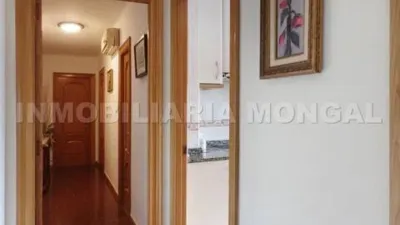 Apartment in Sant Ildefons photo 17