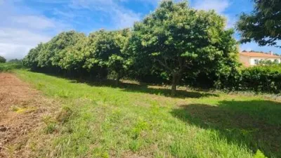 Terreno en venta en Lugar de Ombre - Vista 4