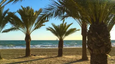 Ático en Centre-Port-Platja Llevant photo 4