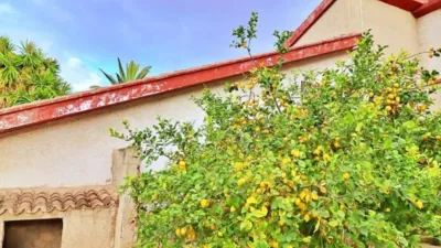 Casa – Elx - Elche - Vista 5