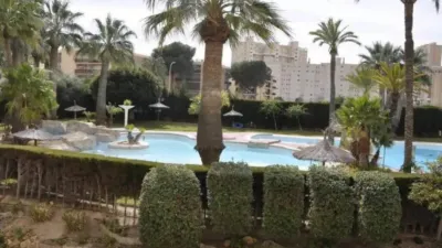 Apartment in Carrer Hisenda de l'Administrador photo 40
