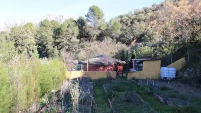 Chalet in El Burgo photo 46
